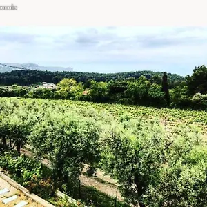https://studio-dans-les-vignes-de-cassis.fr-provencehotel.com